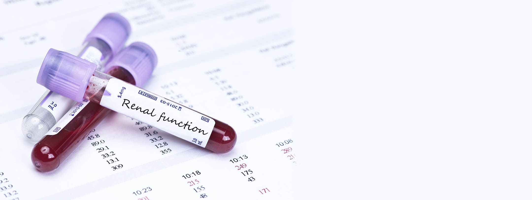 renal-function-panel-visithealth